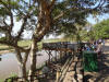 Kruger National Park safaris
